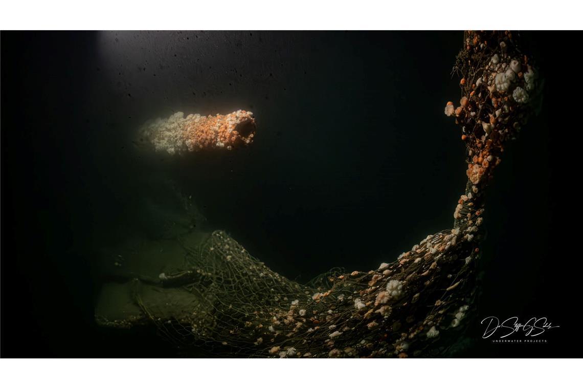 Die Tauchgänge fanden nach Angaben des Teams in großer Tiefe und unter herausfordernden Bedingungen statt.