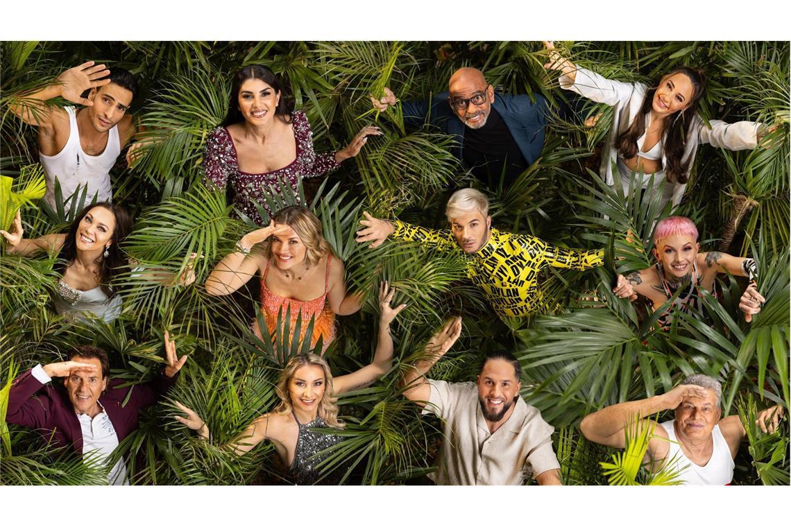 Wer ist alles im Dschungelcamp? – Sendetermine, Uhrzeit, Kandidaten Die Teilnehmer der 18. Staffel der RTL „Ich bin ein Star – Holt mich hier raus!“ ( v. l. n. r.): Timur Ülker, Yeliz Koc, Pierre Sanoussi-Bliss, Alessia Herren, Lilly Becker, Nina Bott, Sam Dylan, Edith Stehfest, Jörg Dahlmann, Anna-Carina Woitschack, Maurice Dziwak, Jürgen Hingsen.