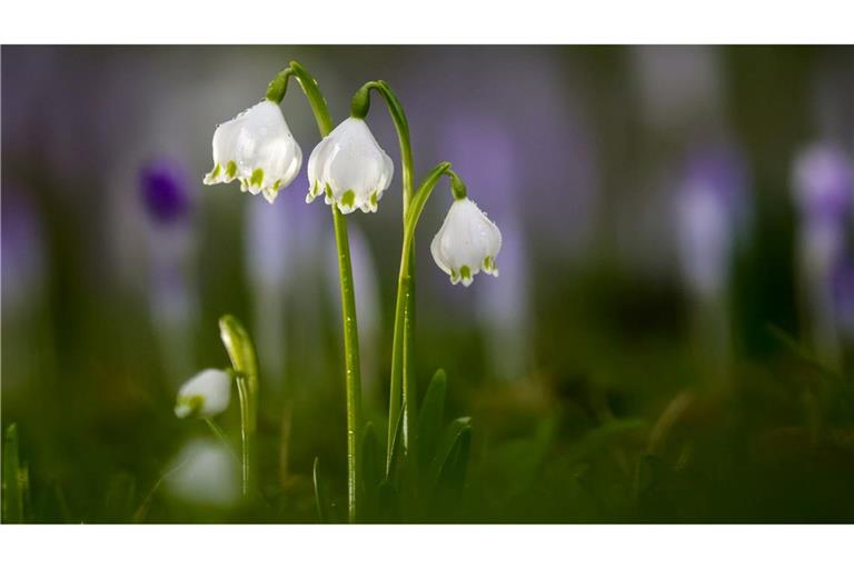 Die Temperaturen bleiben mild.