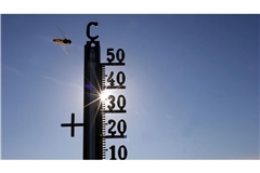 Die Temperaturen können bei bis zu 39 Grad liegen.