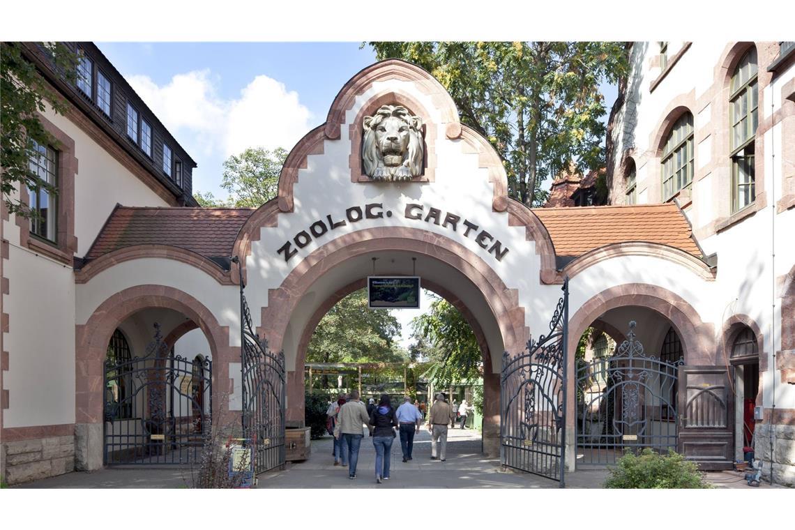 Zoo Leipzig schläfert drei Tigerbabys ein Die Tigerbabys, die im Leipziger Zoo eingeschläfert wurden, waren erst wenige Tage alt. (Symbolfoto)