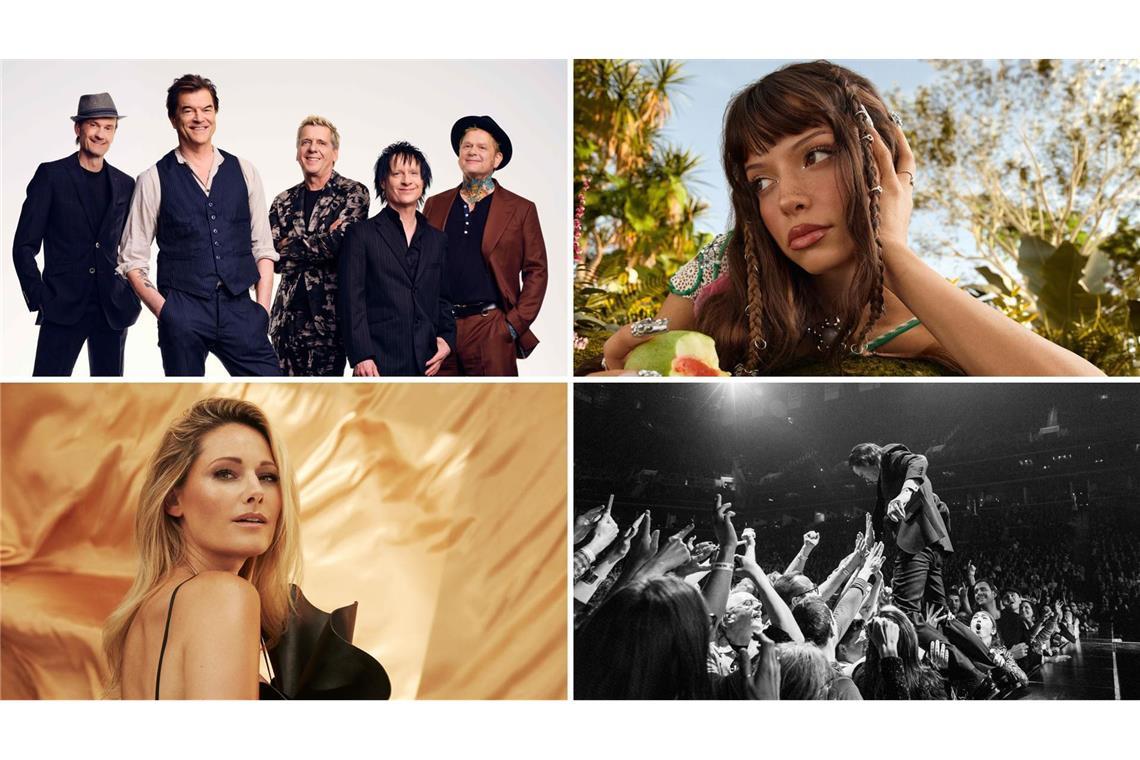 Die Toten Hosen, Nina Chuba, Nick Cave und Helene Fischer (von links oben im Uhrzeigersinn) kommen im Jahr 2026 nach Stuttgart.