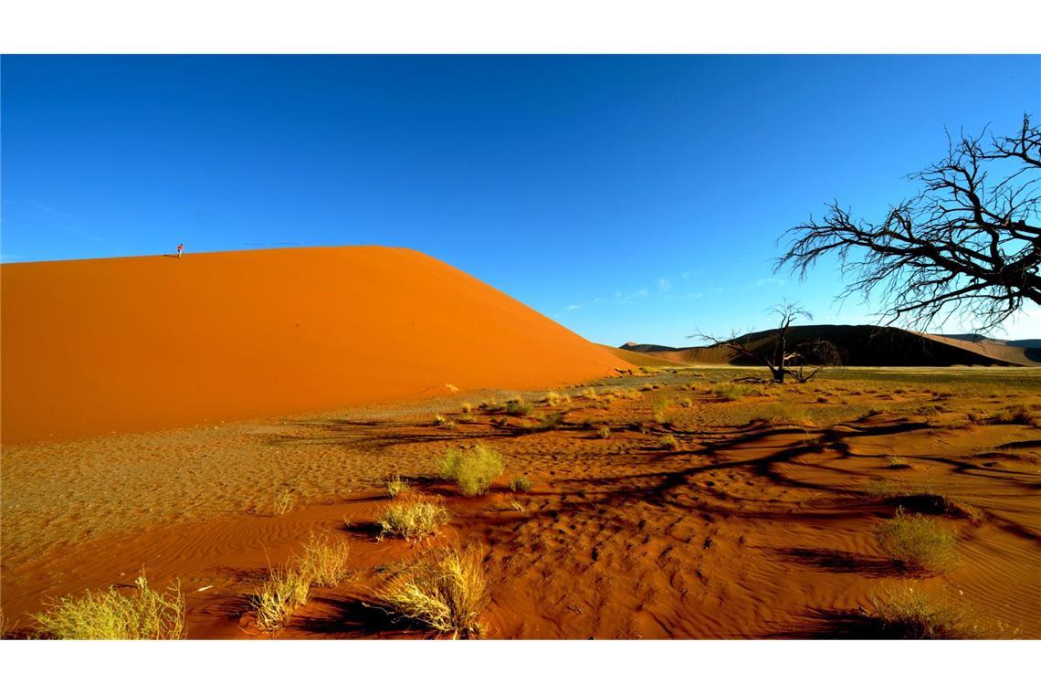 Die Touristen waren auf dem Weg zu den berühmten Sanddünen in der Gegend Sossusvlei. (Archivbild)