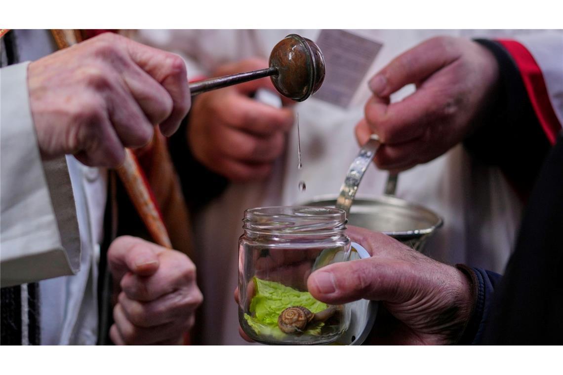 Die Tradition der katholischen Tiersegnung geht auf das Mittelalter zurück. Früher ließen die Bauern ihr Vieh segnen, heute sind es vor allem Städter, die ihre Lieblinge immer an einem 17. Januar, dem Fest von San Antón, dem Schutzeiligen der Tiere, zur Kirche tragen.