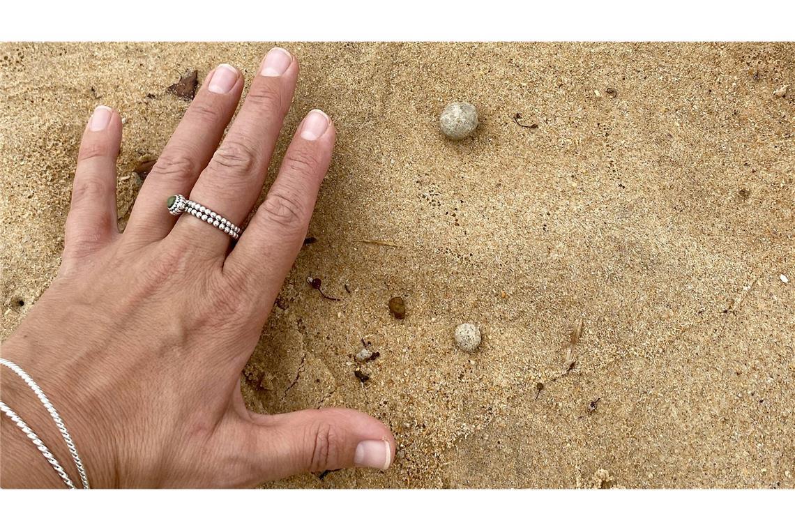Mysteriöse Kugeln an australischen Stränden aufgetaucht Die unbekannten Kugeln sollen etwa die Größe einer Murmel haben.