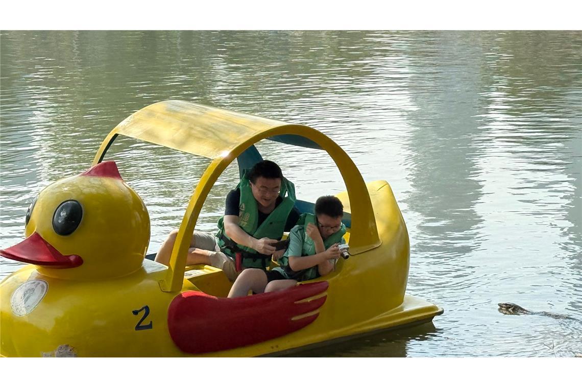 Die urzeitlichen Warane sind ein beliebtes Fotomotiv.