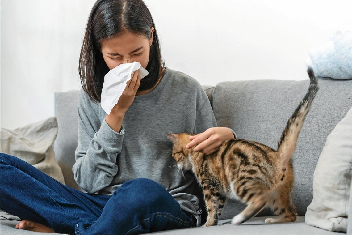 Die Vielfalt an Allergien ist unglaublich groß, die Möglichkeiten sind schier unendlich. Die Reaktionen auf Haustiere gehören genauso dazu wie auf Lebensmittel, Impfstoffe oder Medikamente. Fotos: Adobe Stock/Pormezz/ J. Fiedler