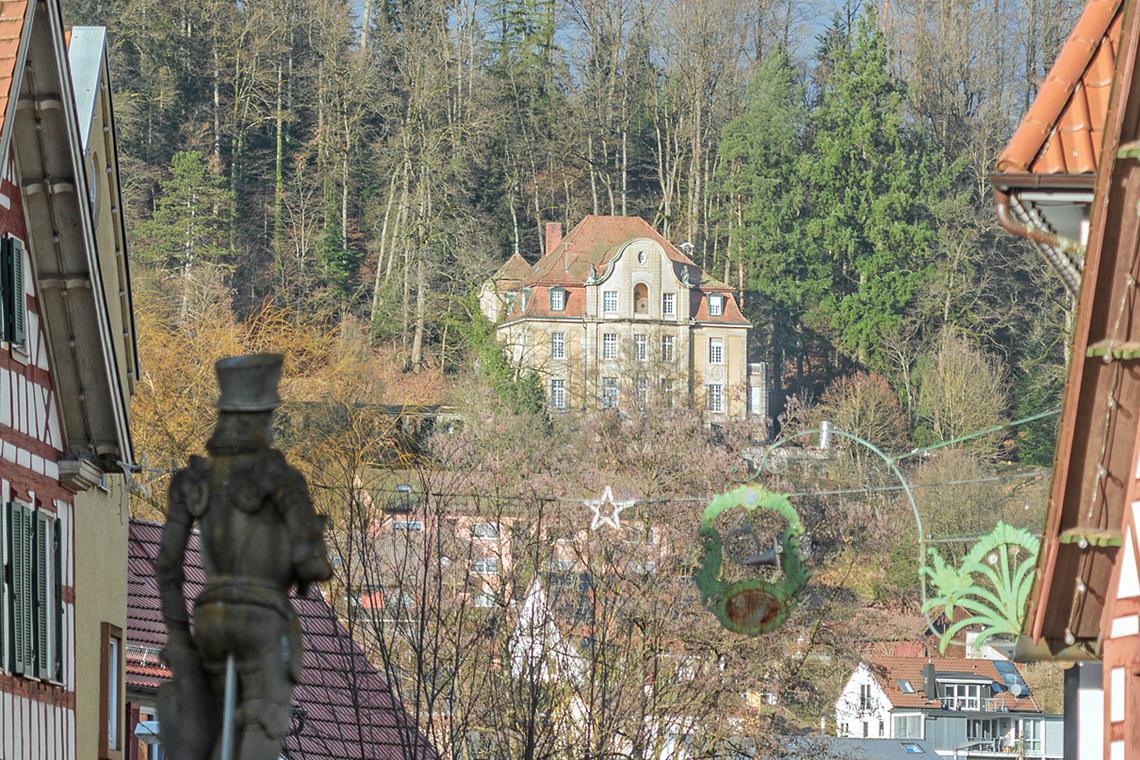 Der Verkauf der Villa Franck stockt Die Villa Franck prägt das Murrhardter Stadtbild mit. Archivfoto: Stefan Bossow