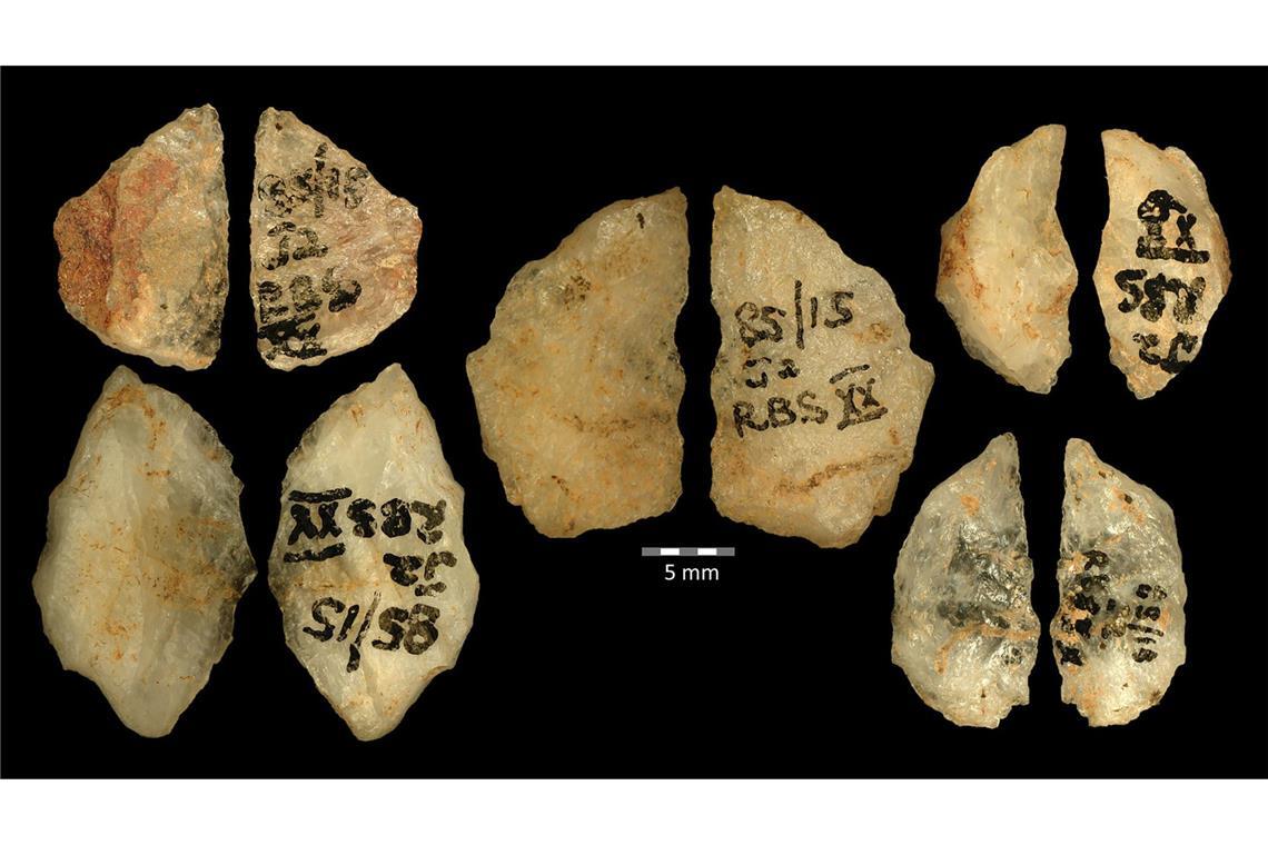 Die Vor- und Rückseiten der fünf 60.000 Jahre alten Pfeilspitzen mit dem Gift von Boophone. Sie stammen aus dem Umhlatuzana-Felsüberhang in Südafrika.