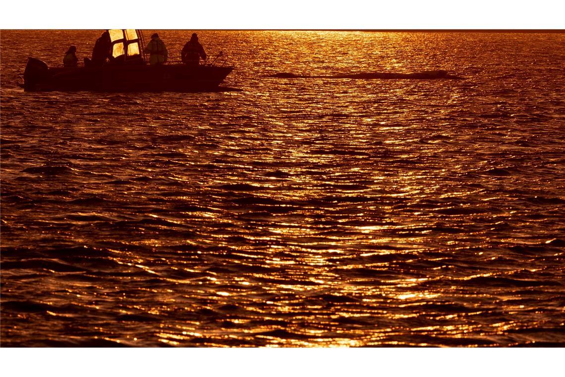 Wal liegt weiter vor Wismar - Rinne soll heute fertig werden