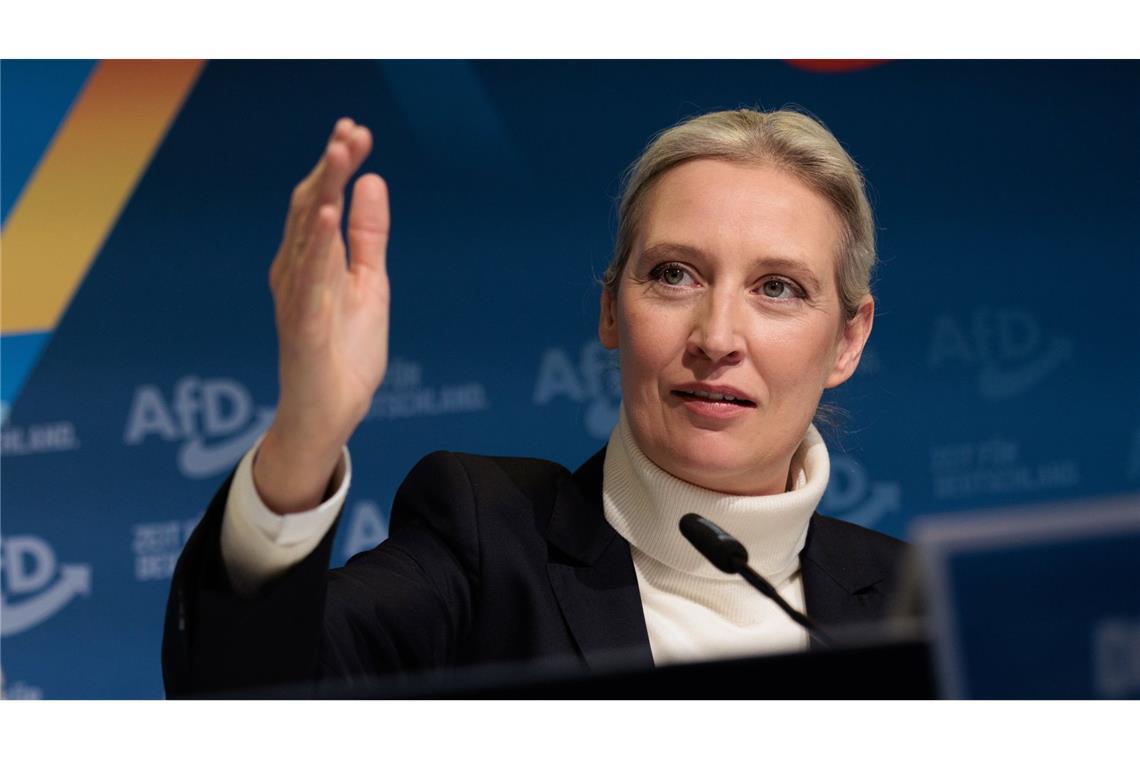AfD-Chefin Weidel Direktkandidatin im Bodenseekreis