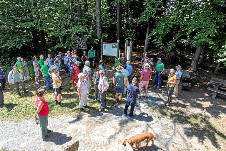 Die Waldbegehung in Grab stößt auf großes Interesse. Foto: privat