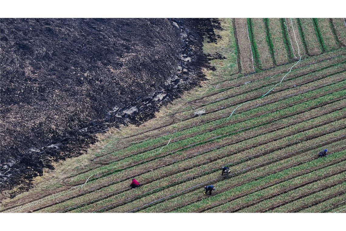 Waldbrände in Südkorea weitgehend eingedämmt Die Waldbrände gelten als die mit Abstand schlimmsten in der Geschichte Südkoreas.