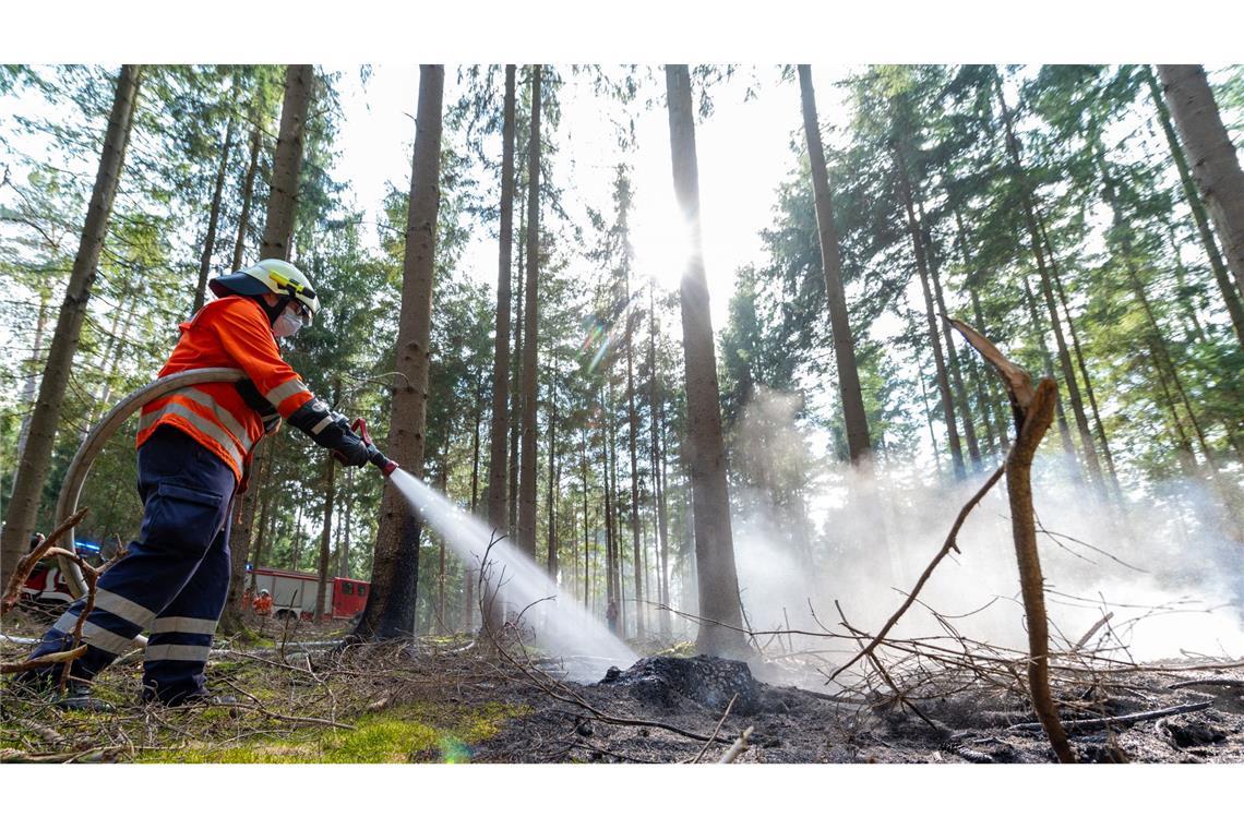 Waldbrandgefahr steigt im Südwesten Die Waldbrandgefahr in Baden-Württemberg ist hoch.