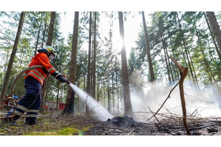 Die Waldbrandgefahr in Baden-Württemberg ist hoch.