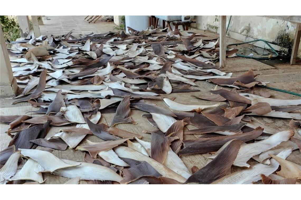 Die Ware gilt als besonders lukrativ.