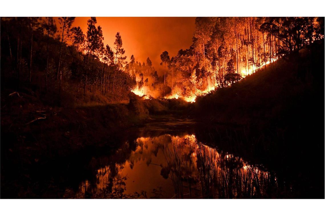 Die Welt steht bereits in Flammen. Die Frage ist nur noch, ob sich die Brände löschen lassen oder es bereits zu spät ist?