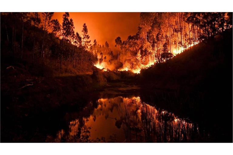 Die Welt steht bereits in Flammen. Die Frage ist nur noch, ob sich die Brände löschen lassen oder es bereits zu spät ist?