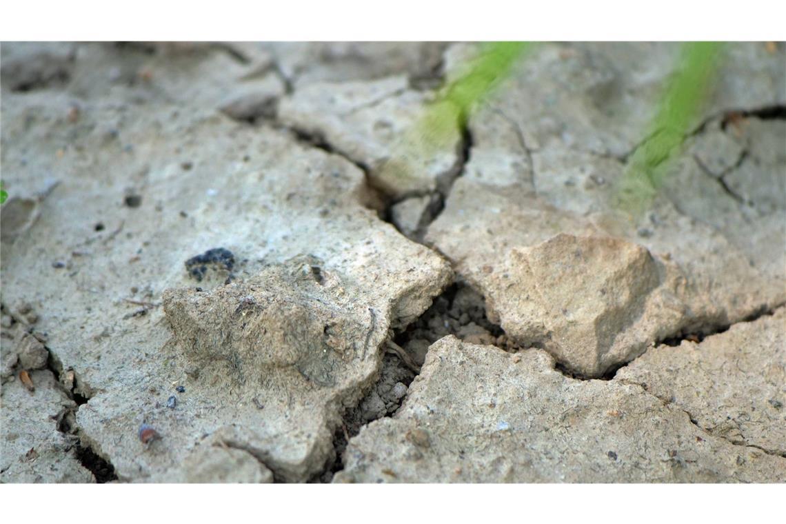 Die Welt trocknet langsam aus: Trockener Ackerboden im niedersächsischen Harzer Vorland