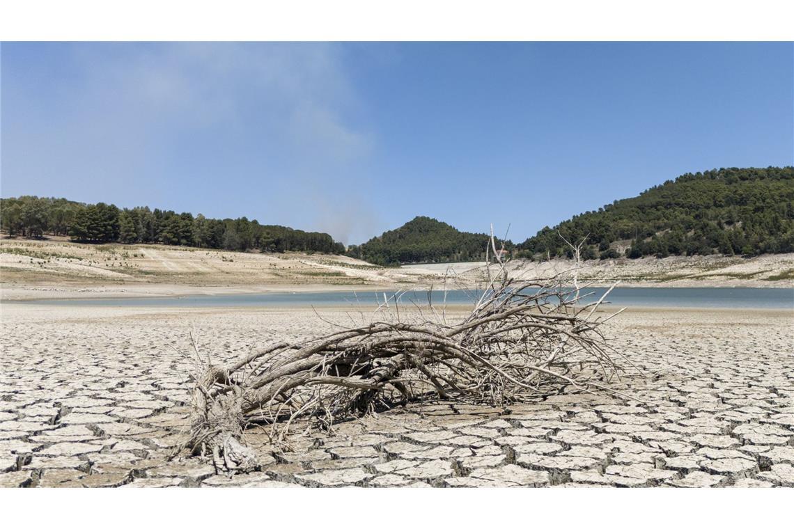 Höchste Alarmstufe beim Zustand des Weltklimas verhängt Die Weltwetterorganisation (WMO) stellte ihren Bericht über den Zustand des Weltklimas 2024 vor.