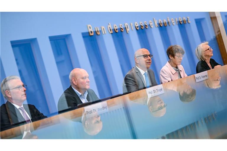 Die "Wirtschaftsweisen" warnen vor explodierenden Kosten, sollte es keine Reformen in der gesetzlichen Kranken- und Pflegeversicherung geben.