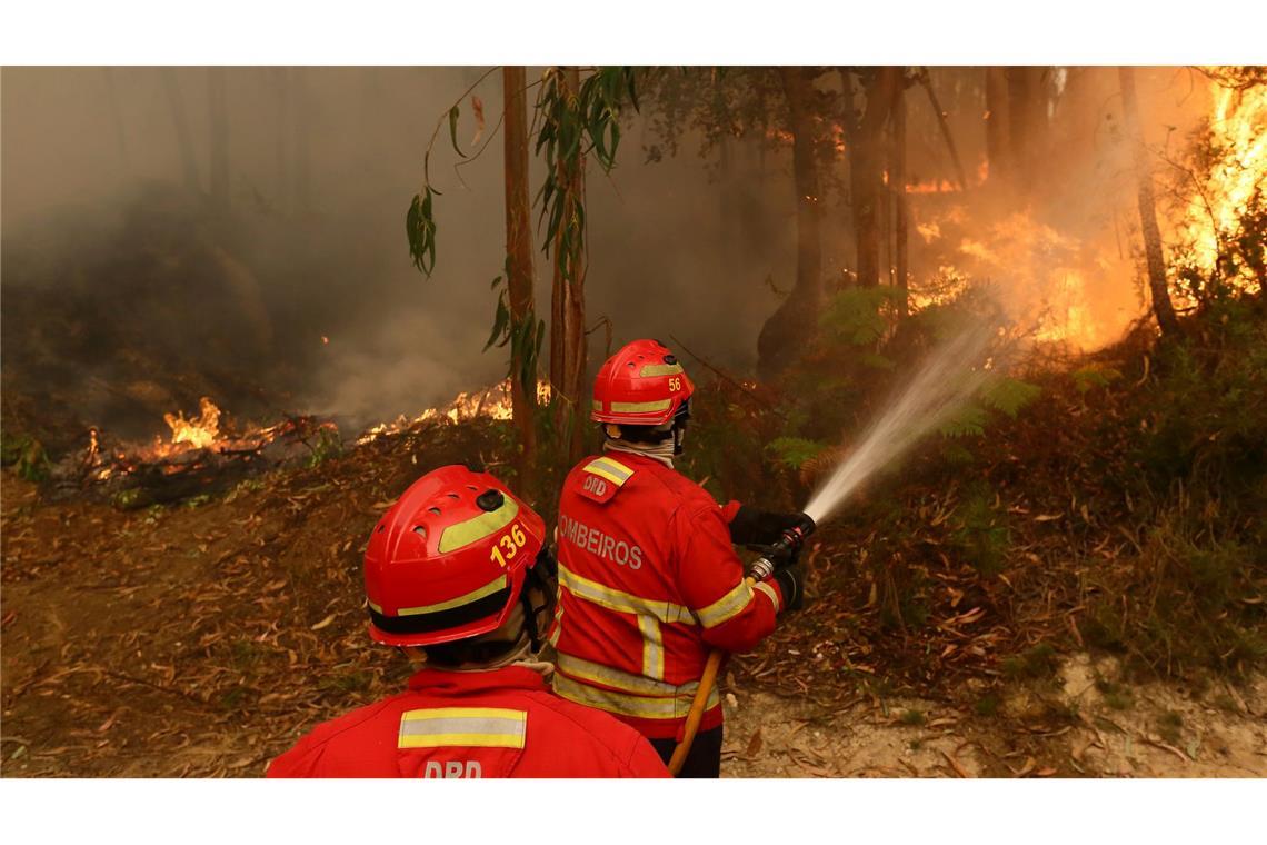 Höchste Alarmstufe beim Zustand des Weltklimas Die Zahl der Waldbrände wächst mit dem Klimawandel (Archivbild)
