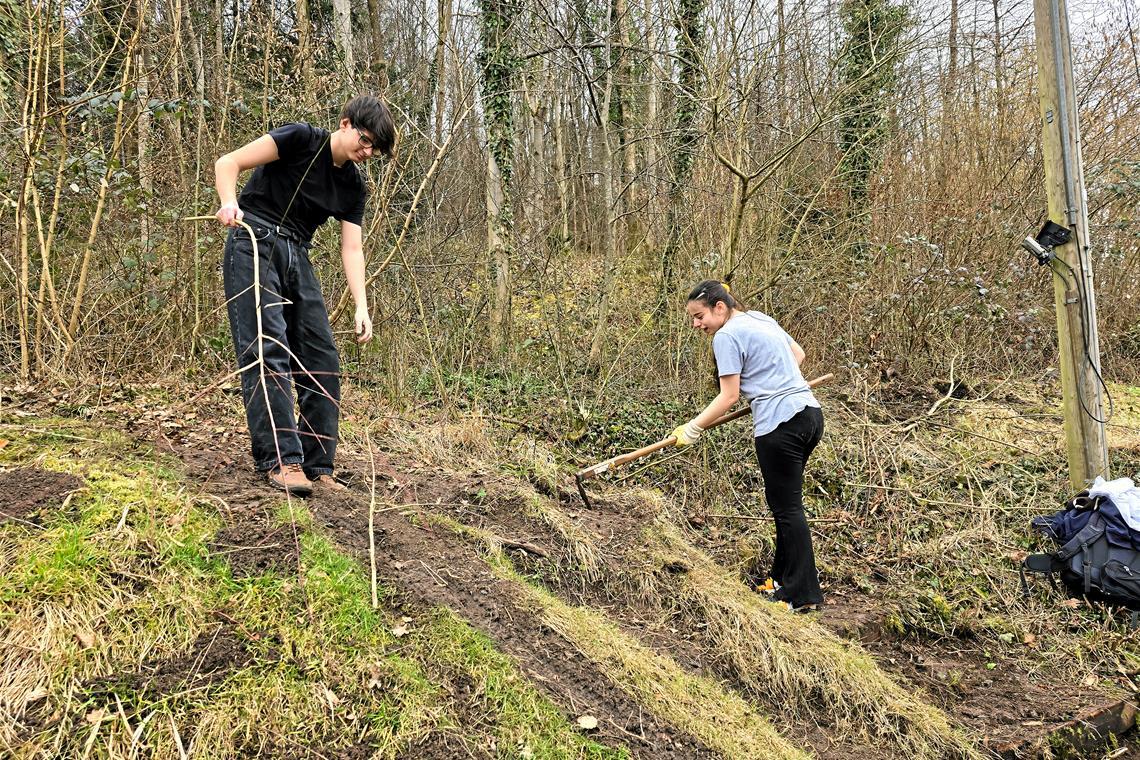 Auf Tuchfühlung mit Wald und Wanderweg Die zwei kümmern sich um den Einstieg am Hang. Das Projektteam wird später die eingefallene Treppe neu gestalten. Foto: Matthias Balle