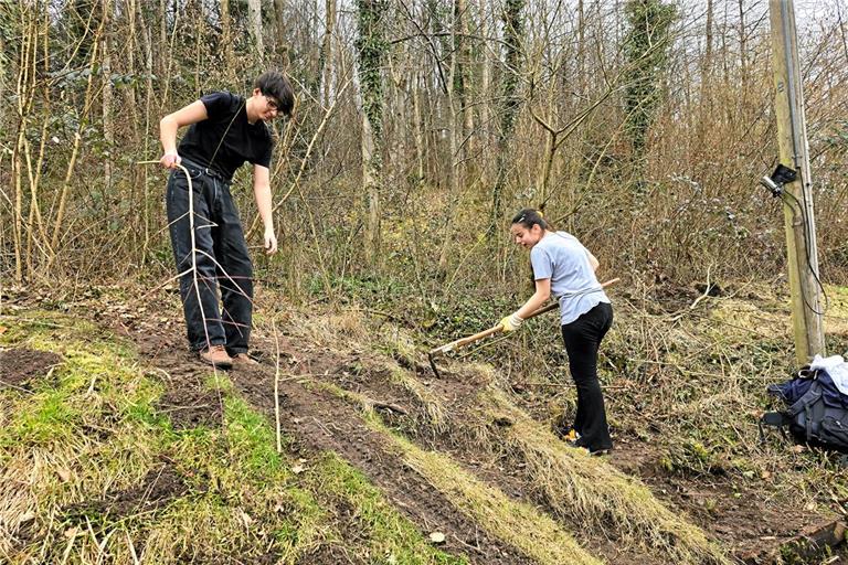 Die zwei kümmern sich um den Einstieg am Hang. Das Projektteam wird später die eingefallene Treppe neu gestalten. Foto: Matthias Balle