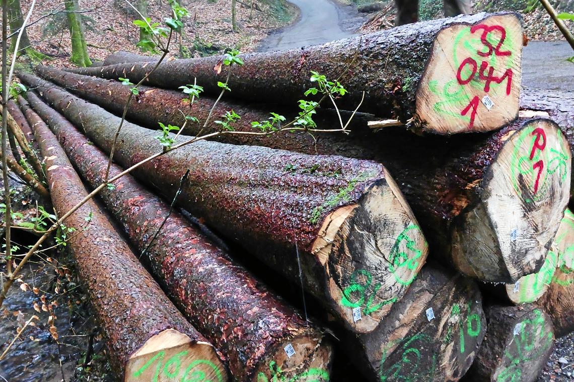 Diebe stehlen rund 10 Festmeter Holz. Symbolfoto: privat
