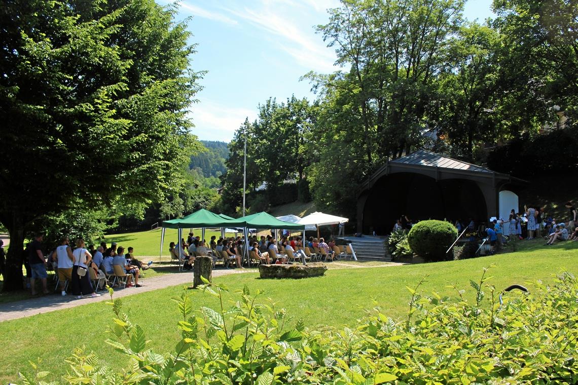 Diese Aufnahme stammt aus Vor-Corona-Zeiten. Bei den Konzerten muss nun mehr Abstand eingehalten werden, der Stadtgarten bietet dazu reichlich Gelegenheit. Foto: Musikschule