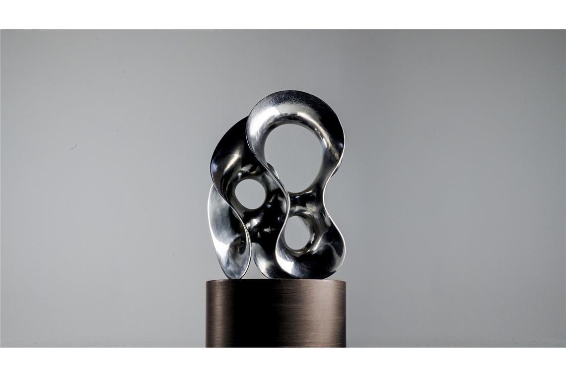Alternative Nobelpreise - Gemeinsam für eine bessere Zukunft Diesen Award erhalten die Preisträger.