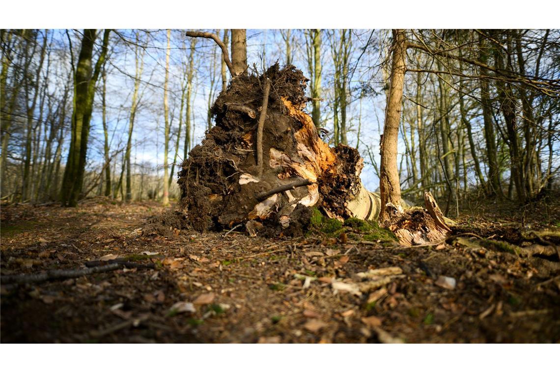 Drei Menschen sterben bei Ostereiersuche im Norden