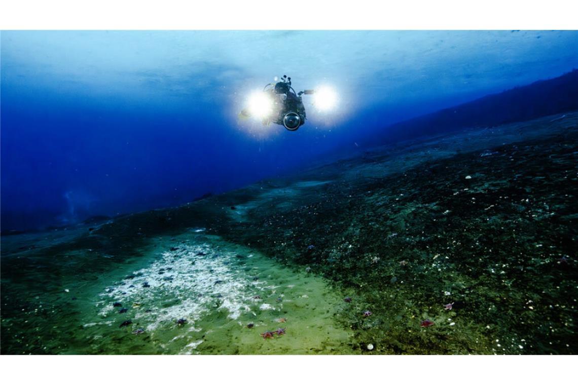 Mehr Methan-Quellen: Steht die Antarktis vor dem Klima-Kollaps? Dieser Tauchroboter hat gerade einige neu entstandenen Methanquellen am Grund des antarktischen Rossmeers entdeckt. Erkennbar sind sie an den weißlichen Bakterienmatten.