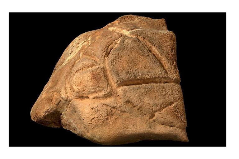 Dieser von tief eingeritzten Linien überzogene Felsen könnte bei den Versammlungen der Steinzeitmenschen eine wichtige Rolle gespielt haben. Nach Meinung der Wissenschaftler gleicht er dem Panzer einer Schildkröte.