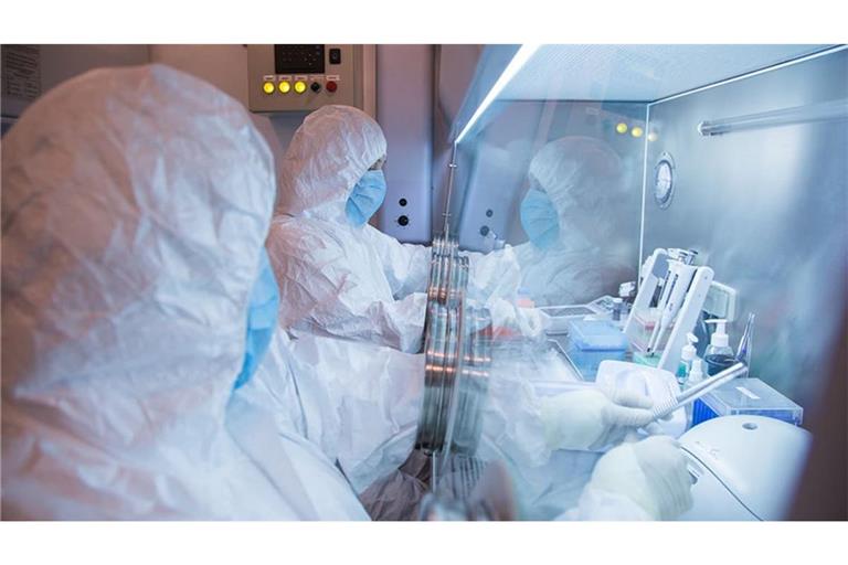 Dieses undatierte im Jahr 2019 aufgenommene Foto, das vom Forschungsinstitut für Pestbekämpfung in Irkutsk für Sibirien und den Fernen Osten via AP veröffentlicht wurde, zeigt Mitarbeiter des Instituts in einem Labor.