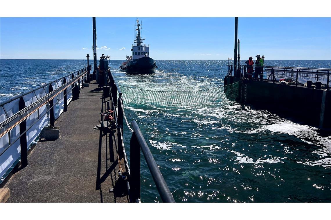 Dieses von der Rettungsinitiative zur Verfügung gestellte Foto zeigt den Schlepper hinter einem gefluteten Lastschiff mit dem Buckelwal in der Ostsee.