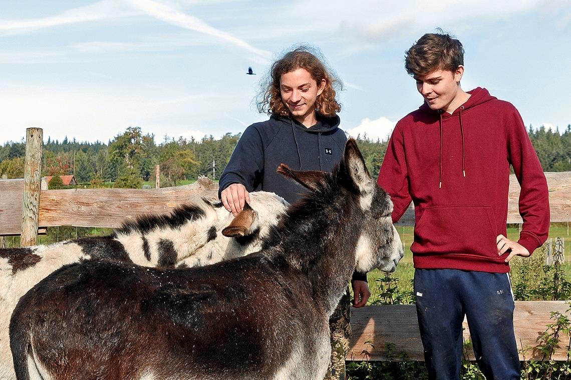 „Für die Tiere würde ich’s immer wieder tun“ Dominik Weber (links) und Max Schmidt mit Dream und Joy.