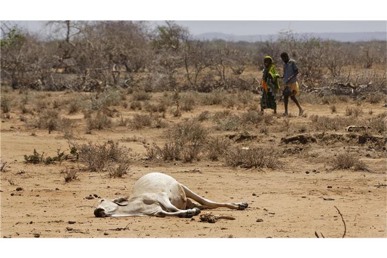 Dorfbewohner gehen in Bandarero (Kenia), an der Grenze zu Äthiopien, am Kadaver eines Rindes vorbei.