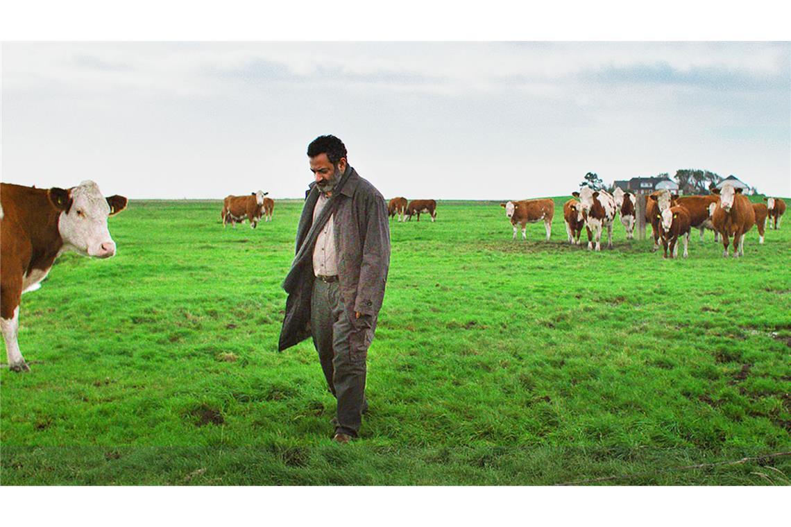 Draußen auf der Hallig verblenden sich Munirs (Georges Khabbaz) Traumbilder mit der windzerzausten Nordsee-Landschaft.