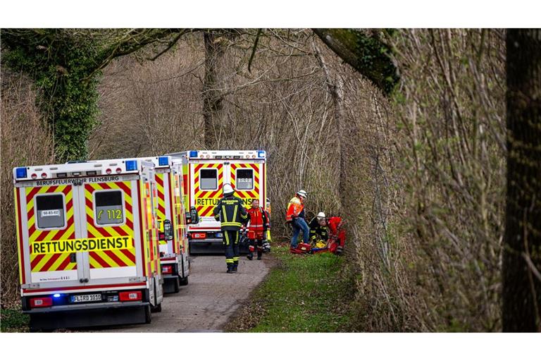 Drei Menschen sterben in einem Waldstück südöstlich von Flensburg.