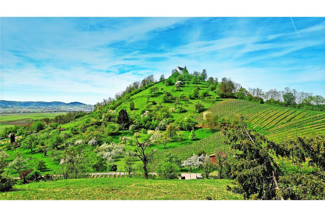 Wurmlinger Kapelle und Spitzberg „Droben stehet die Kapelle, Schauet still in’s Thal hinab“: Ludwig Uhland verewigte die Wurmlinger Kapelle literarisch.