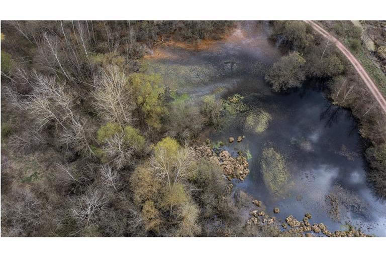 Drohnenaufnahme eines Sees. Dort, wo heute die Grube Messel liegt, lag vor 48 Millionen Jahren ein von dichtem Regenwald umsäumter Kratersee. Doch das Gewässer verlandete im Lauf mehrerer Hunderttausend Jahre - zurück blieb eine Fülle an Fossilien.