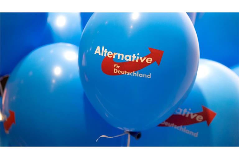 Dürfen AfD-Mitglieder in Rheinland-Pfalz nicht in den öffentlichen Dienst übernommen werden? Das wird letztlich im Einzelfall entschieden. (Symbolbild)