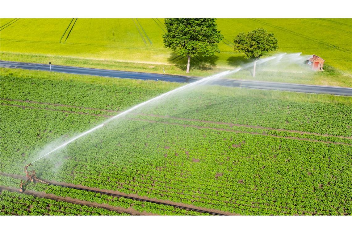 Bilder des Tages Dürre auf den Feldern: Wasser für die Kartoffeln