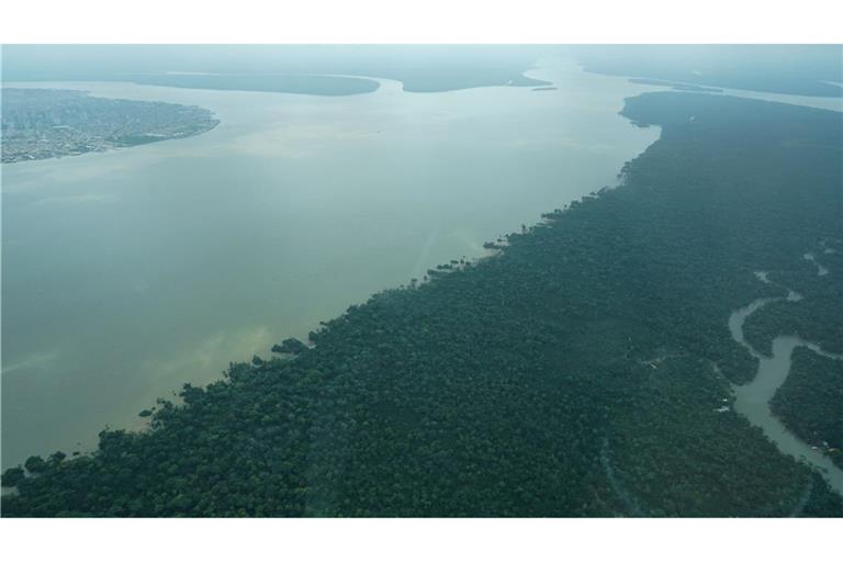 Durch den an die Millionenstadt Belém grenzenden Wald fließt der Fluss Guama.