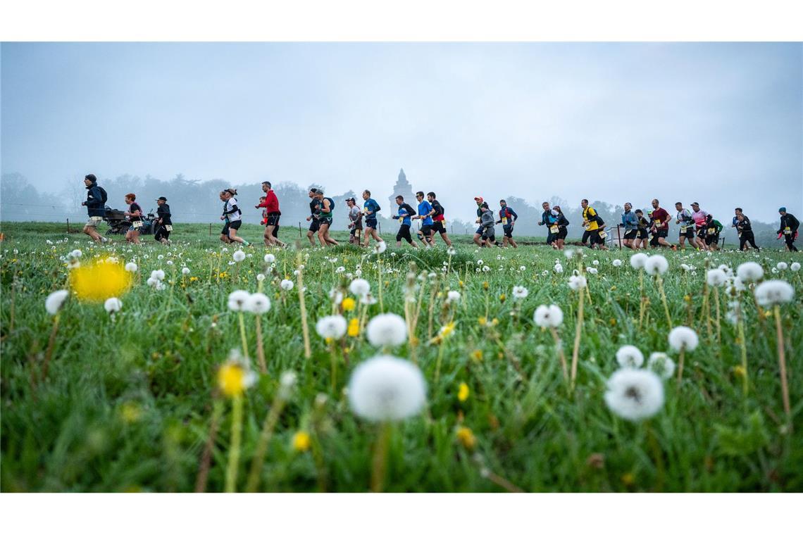 Durch die Botanik: Läufer sind beim Rennsteiglauf auf der Supermarathonstrecke bei Eisenach unterwegs.