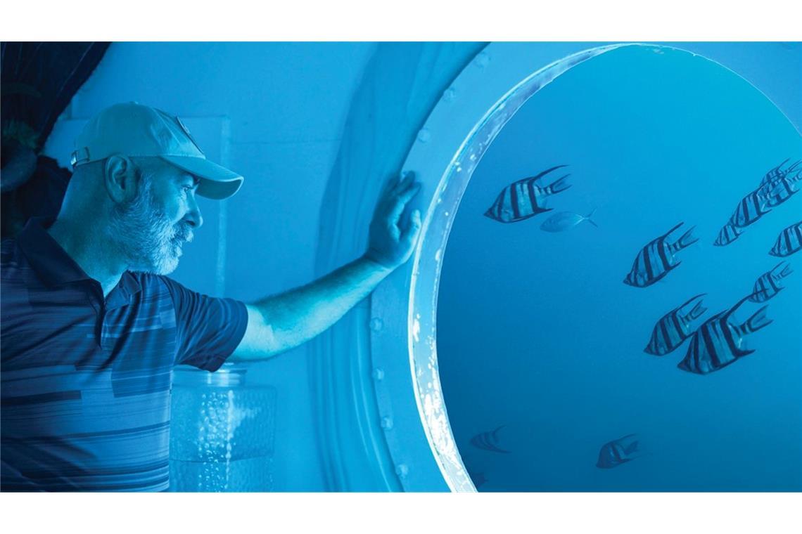 120 Tage unter Wasser - Deutscher schafft Weltrekord Durch die Bullaugenfenster beobachtete Koch das Meer.