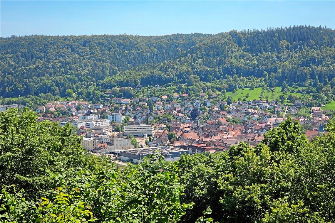Durch die Planung sollen Biotope, Trittsteine und Verbundstrukturen, etwa Wildwanderwege, in einer durchgängigen Landschaft auf Murrhardter Gemarkung erhalten, erweitert, optimiert oder neu geschaffen werden. Foto. Stefan Bossow