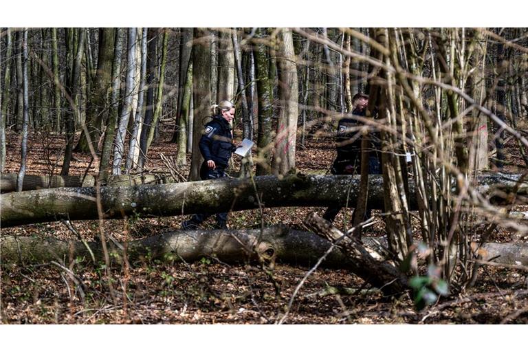 Durch einen umgestürzten Baum sind bei Flensburg drei Menschen ums Leben gekommen.