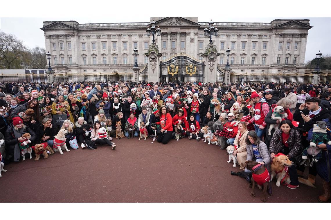 Vier Pfoten im Weihnachtspulli - Hundeparade in London Dutzende Hunde und ihre Herrchen und Frauchen waren bei der Aktion dabei.